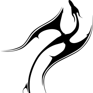 logo-transylvania-fusion